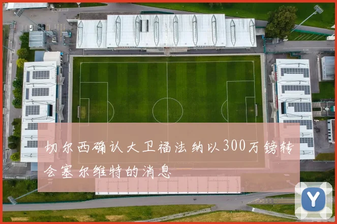 切尔西确认大卫福法纳以300万镑转会塞尔维特的消息