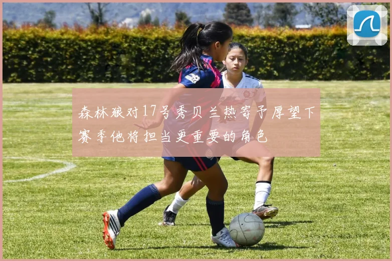 森林狼对17号秀贝兰热寄予厚望下赛季他将担当更重要的角色