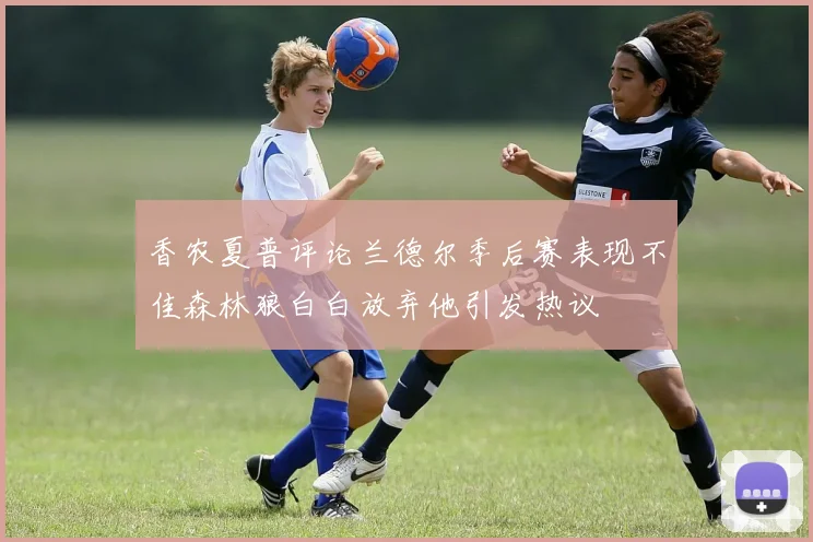 香农夏普评论兰德尔季后赛表现不佳森林狼白白放弃他引发热议