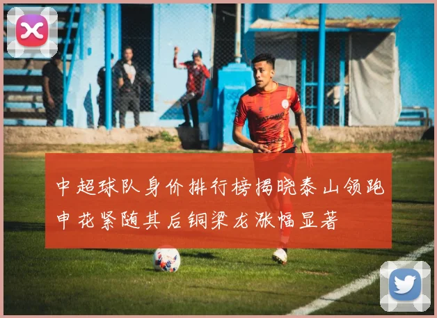 中超球队身价排行榜揭晓泰山领跑申花紧随其后铜梁龙涨幅显著