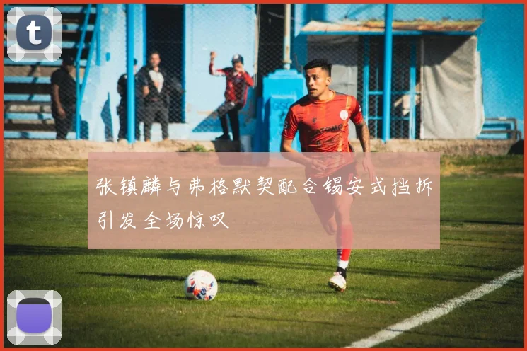 张镇麟与弗格默契配合锡安式挡拆引发全场惊叹